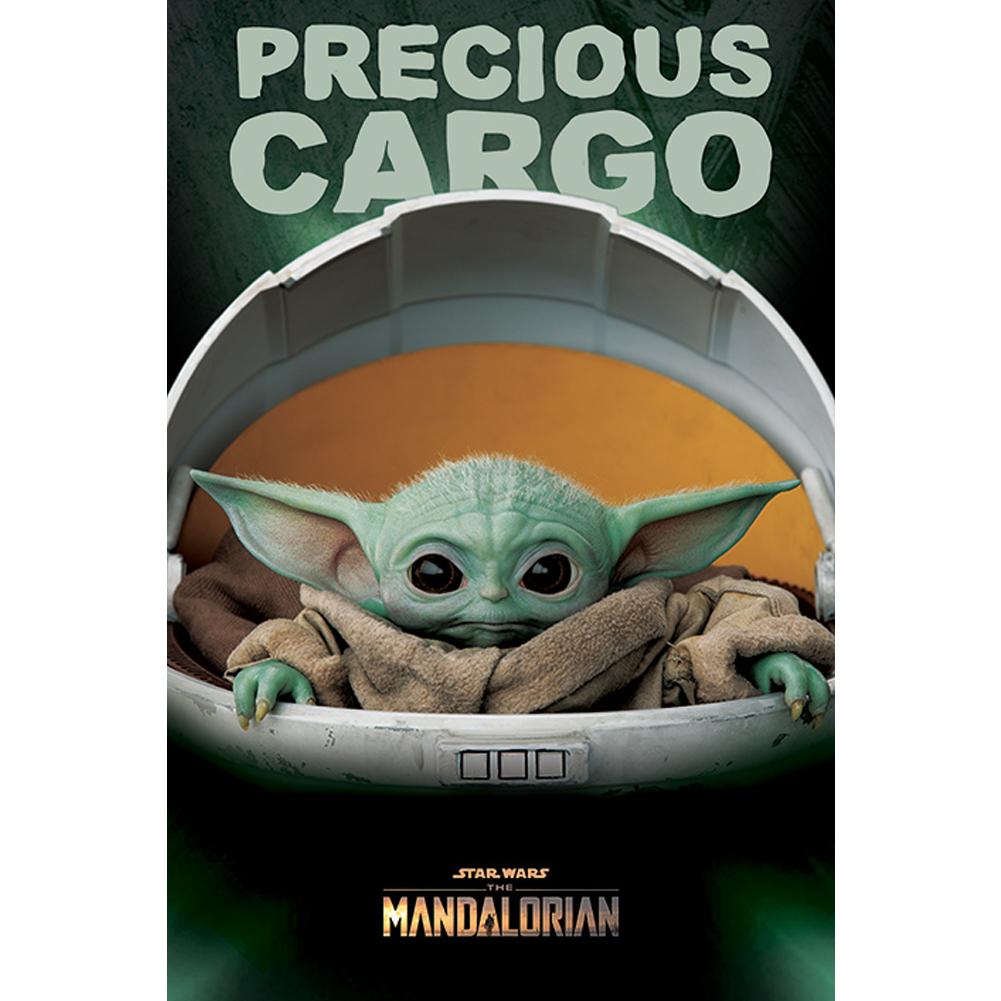 Official Star Wars: The Mandalorian Poster Precious Cargo 168