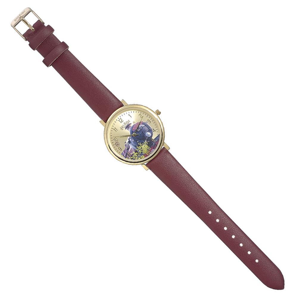 Official Harry Potter Watch Hogwarts Express