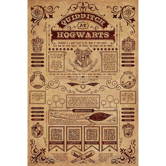 Official Harry Potter Poster Hogwarts Quidditch 173