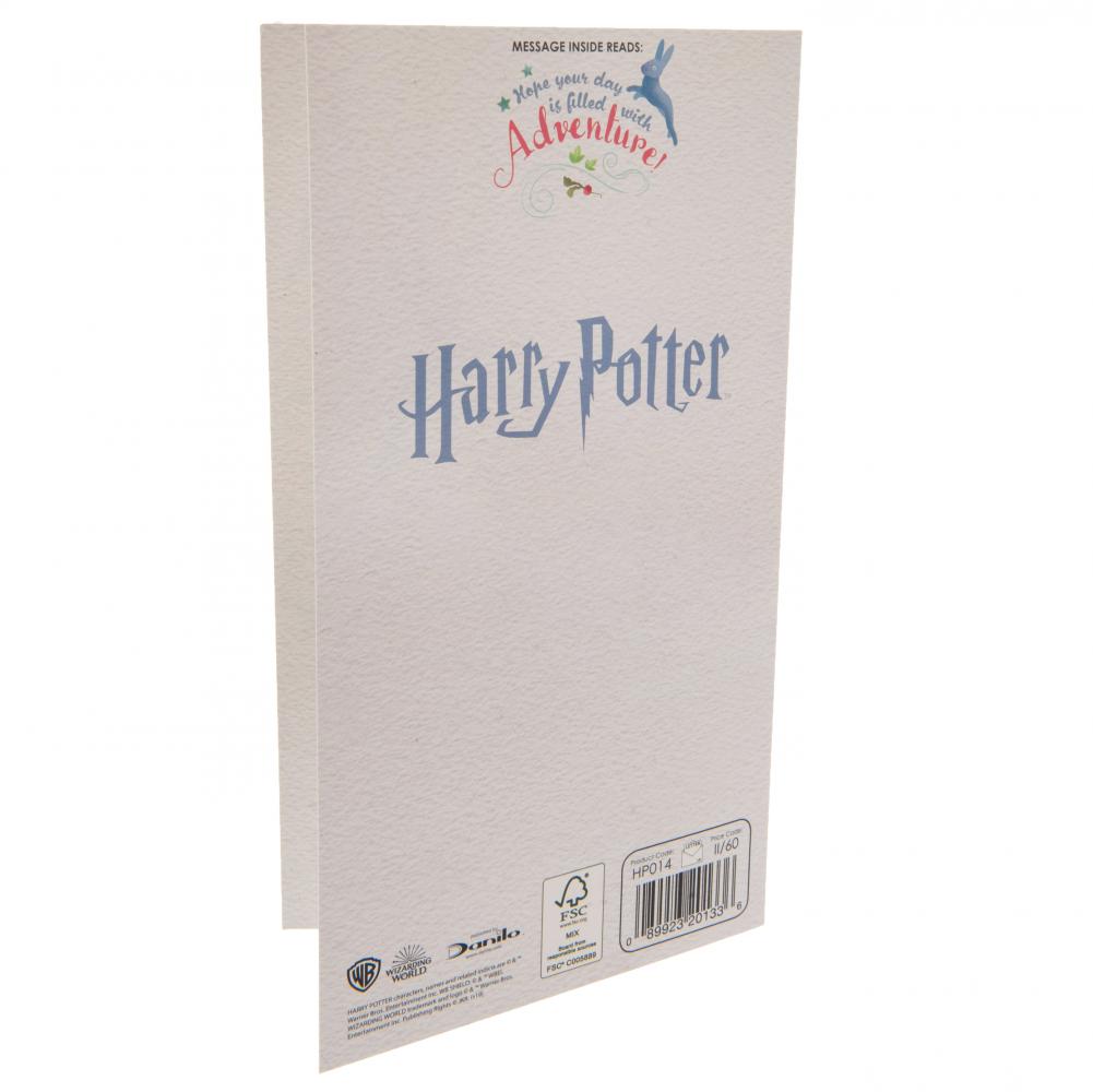 Official Harry Potter Birthday Card Sister