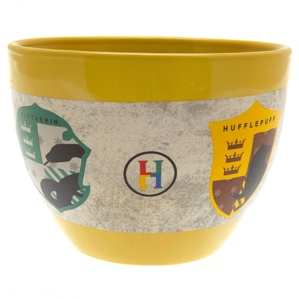 Official Harry Potter Huggy Mug