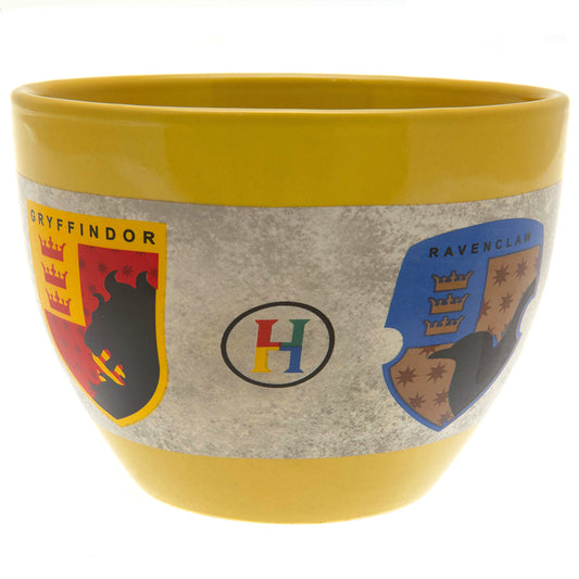 Official Harry Potter Huggy Mug