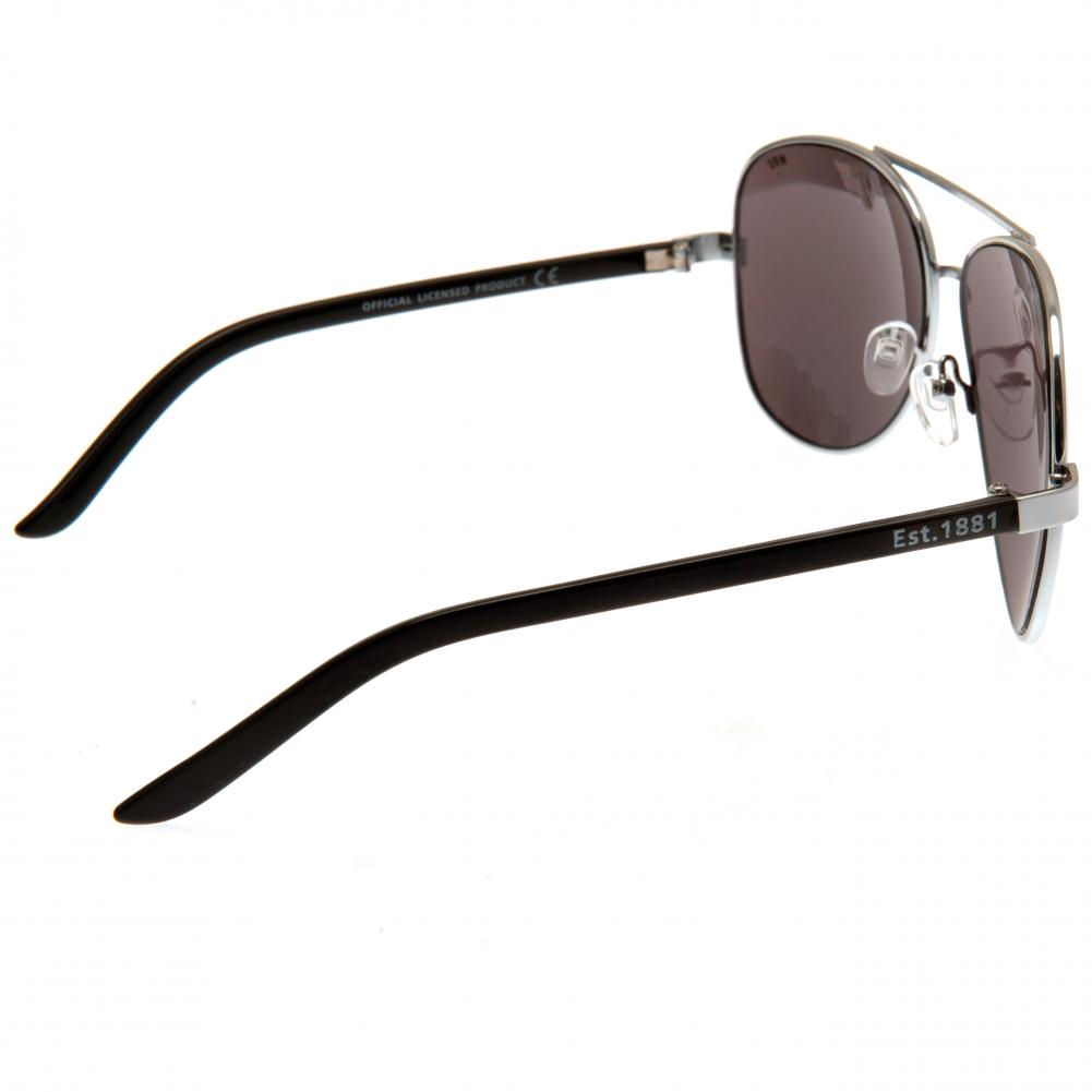 Official Wales RU Sunglasses Adult Aviator