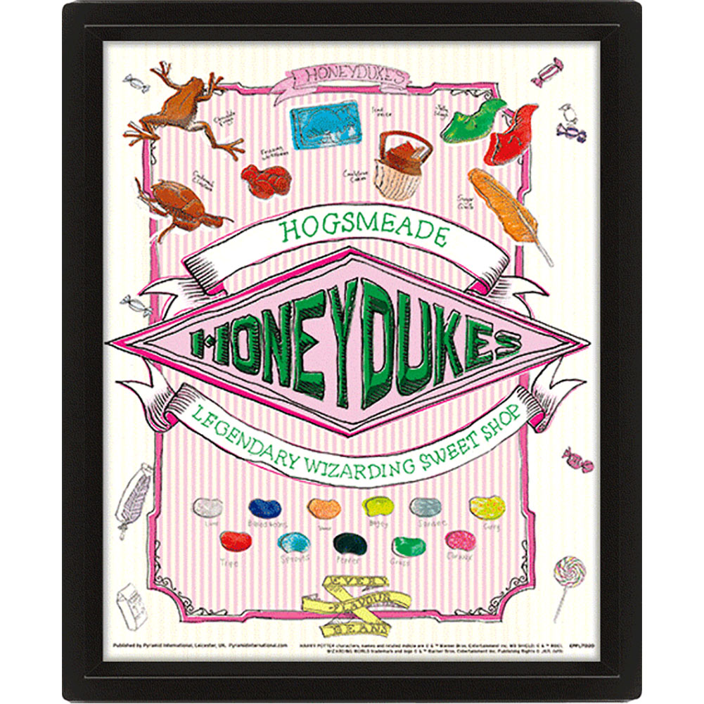 Official Harry Potter Honeydukes Framed 3D Picture