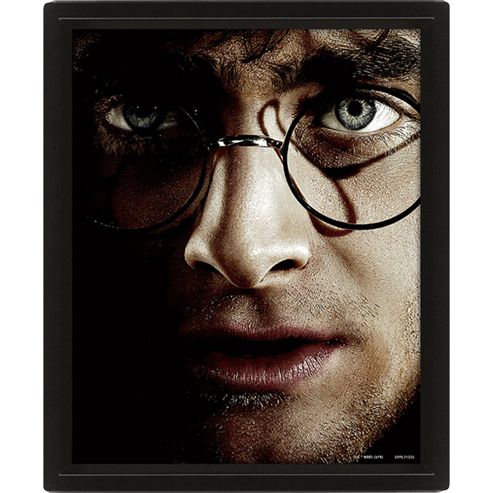 Official Harry Potter Framed 3D Picture