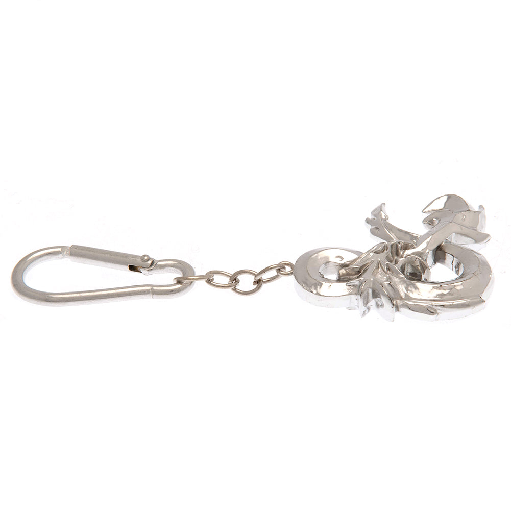 Official Dungeons & Dragons 3D Keyring