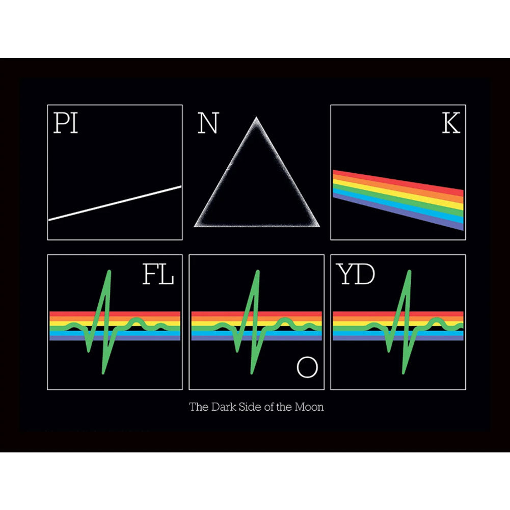 Official Pink Floyd Picture Heartbeat 16 x 12