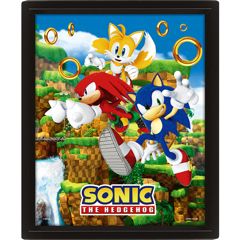 Official Sonic The Hedgehog Framed 3D Picture