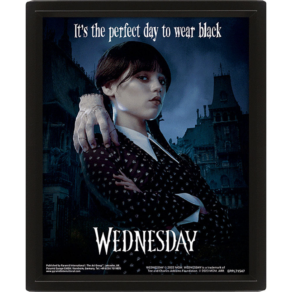 Official Wednesday Framed 3D Picture