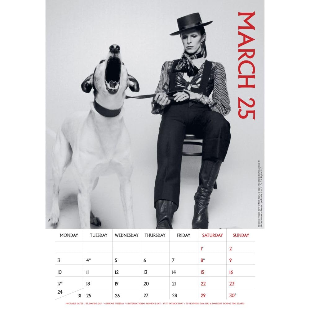 Official David Bowie A3 Calendar 2025