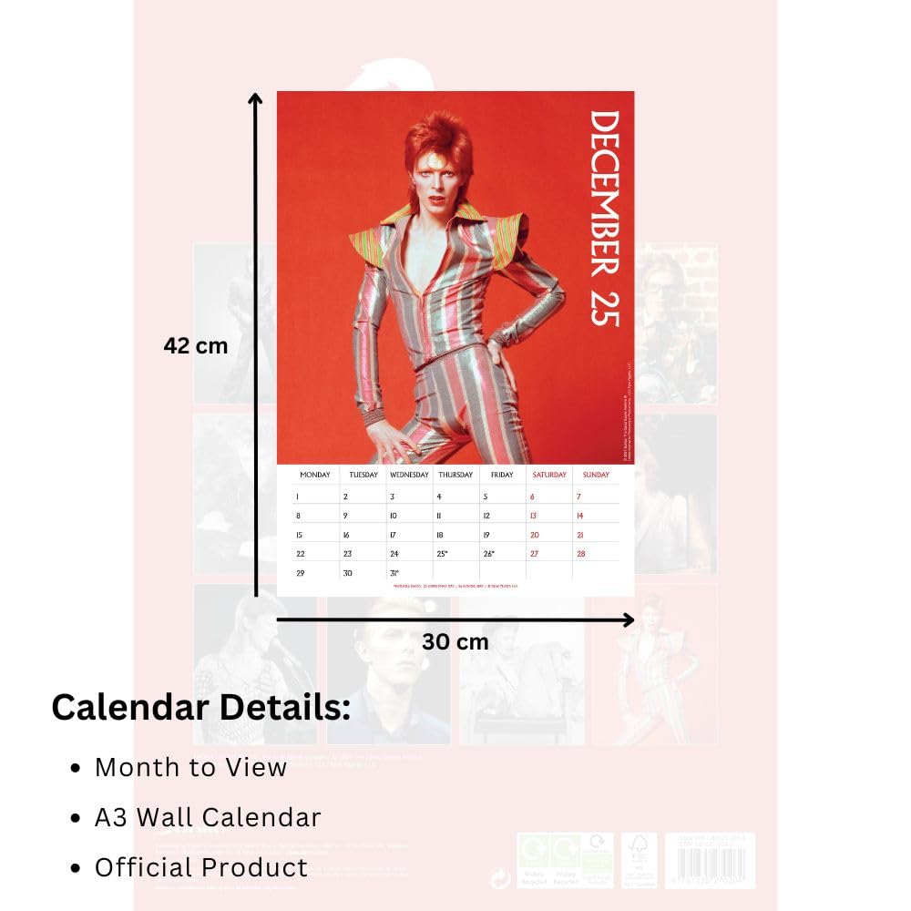 Official David Bowie A3 Calendar 2025