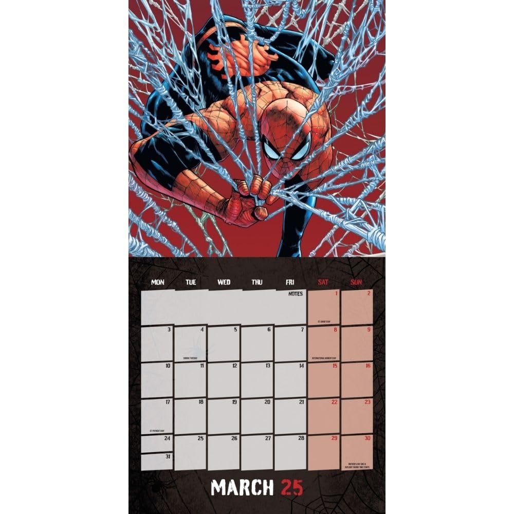 Official Spider-Man Square Calendar 2025