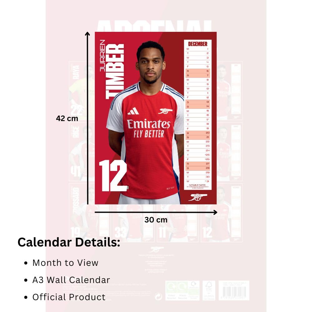 Official Arsenal FC A3 Calendar 2025