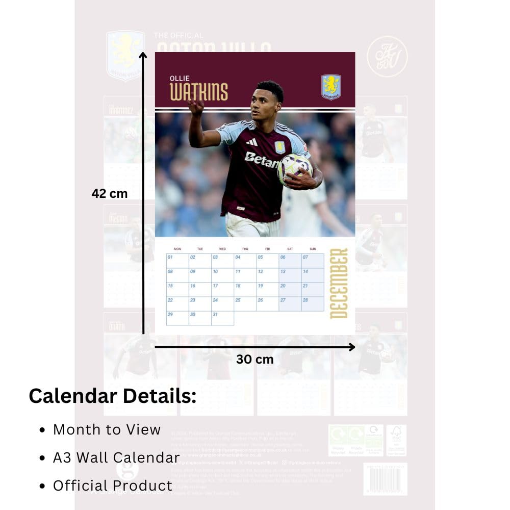 Official Aston Villa FC A3 Calendar 2025