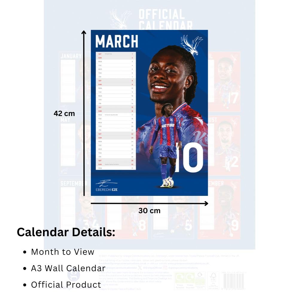 Official Crystal Palace FC A3 Calendar 2025