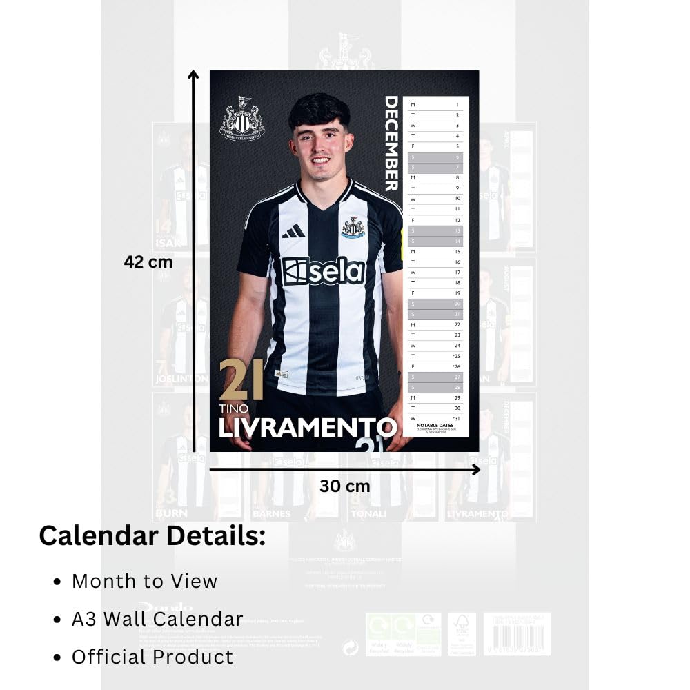 Official Newcastle United FC A3 Calendar 2025