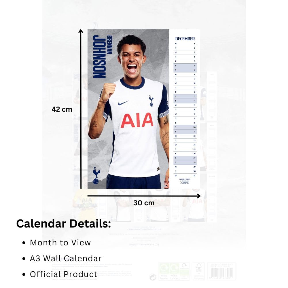 Official Tottenham Hotspur FC A3 Calendar 2025