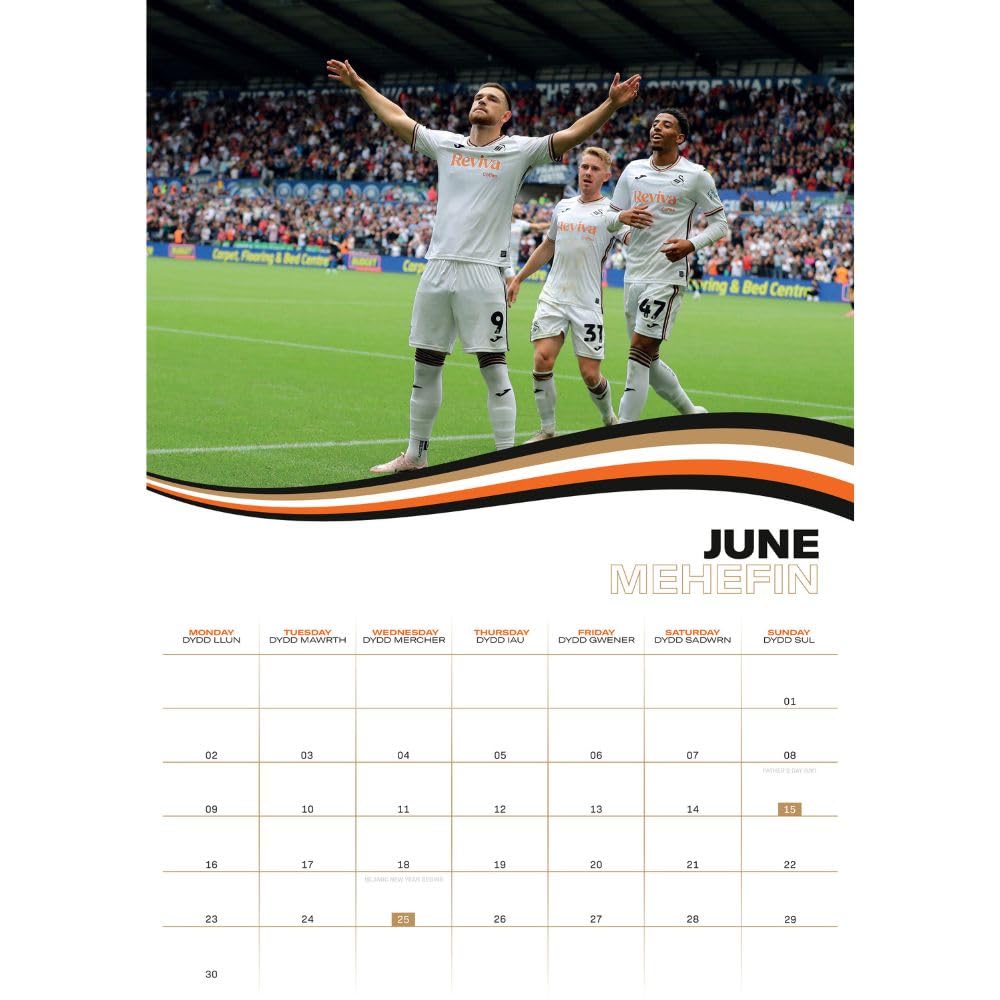 Official Swansea City AFC A3 Calendar 2025