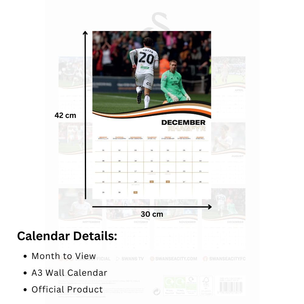 Official Swansea City AFC A3 Calendar 2025