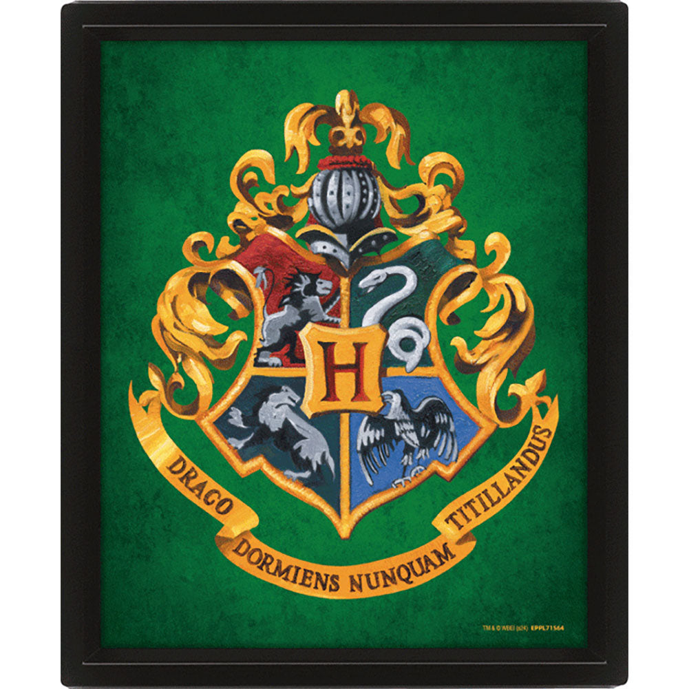 Official Harry Potter Slytherin Framed 3D Picture